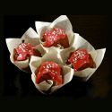 Tulip Muffin Cases - Craft x 36