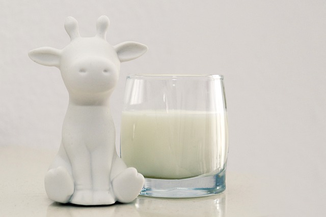 lait de vache