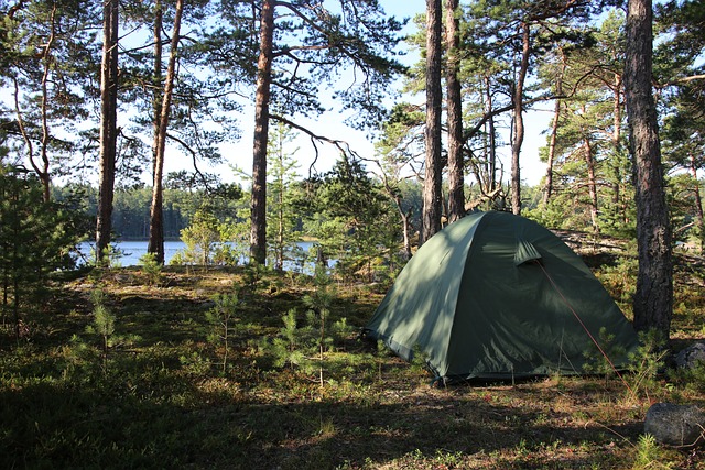 camping