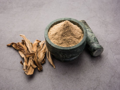 6 bonnes raisons d’intégrer le psyllium blond dans votre alimentation