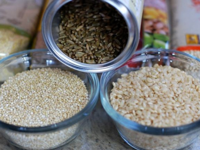 Quelles sont les alternatives au riz ?