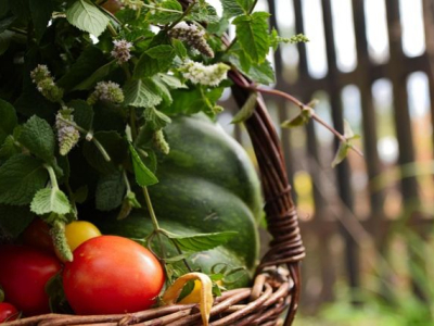 Farm-to-Feed: Promoting Local Ingredients Through Authentic Food Photography